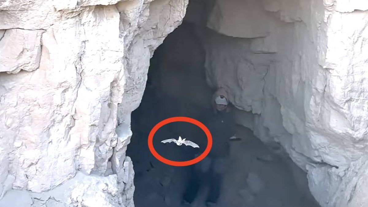 f.elconfidencial.com_original_2f4_070_dee_2f4070dee2b7e7811819bad0b9e81871