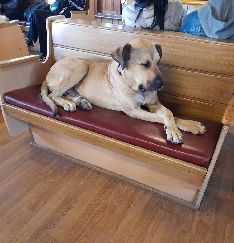 image-eY2WeYZzzaYBUvsh