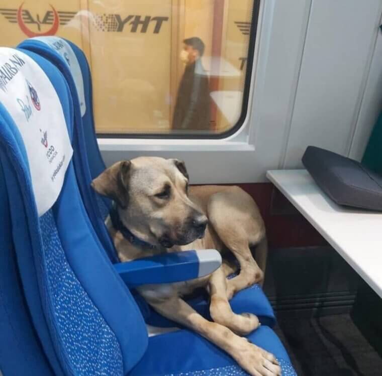 image image ngtffqgXC7kT5G8H