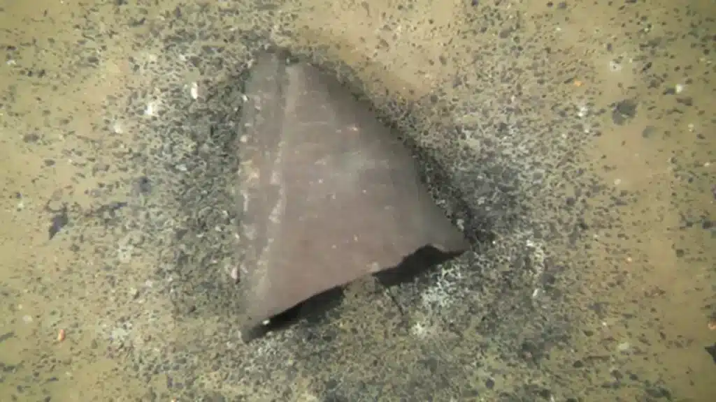 image vasija biwa japon 30b6792d 251126140521 1280x720