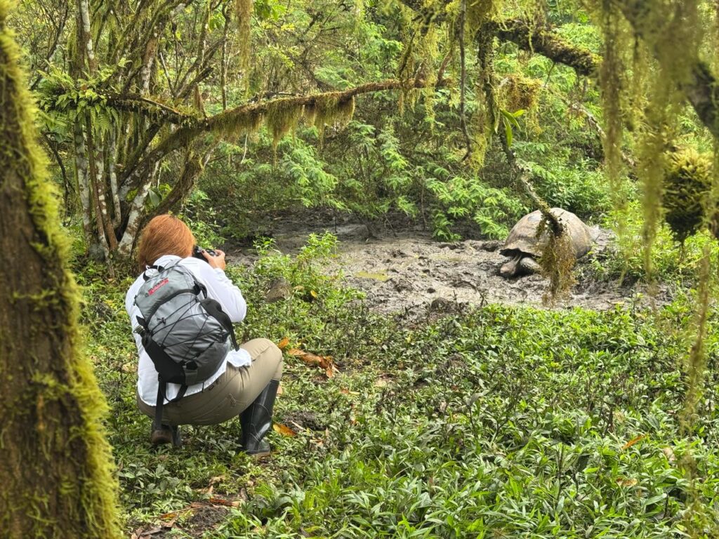 image whatsapp image 2025 10 29 at 15251 pm 1 1