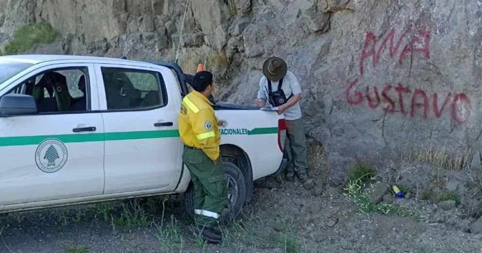 image 1766937250 md 1.webp 1