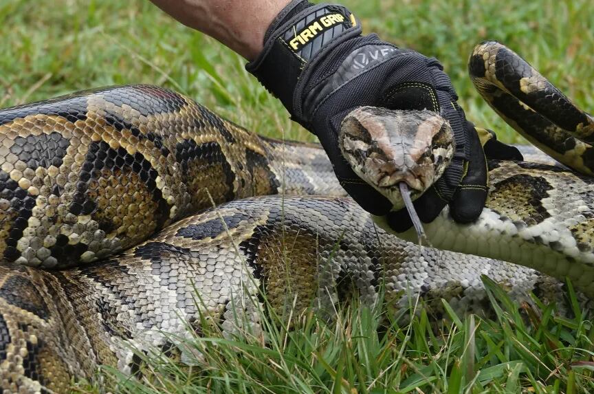 5T3HIZ3BBJE47O7H7THJEULHEI 5T3HIZ3BBJE47O7H7THJEULHEI