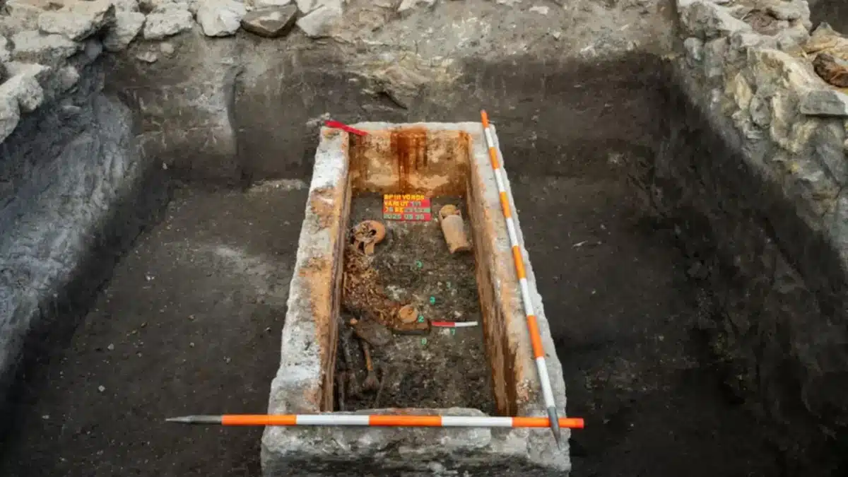 692c9f7814f85.r_d.768-512-0