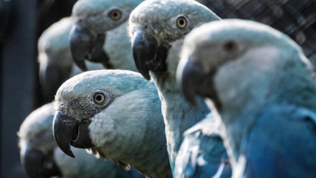 image 92dfb5fabfab2956e9f5253a52b923ad4e80972e