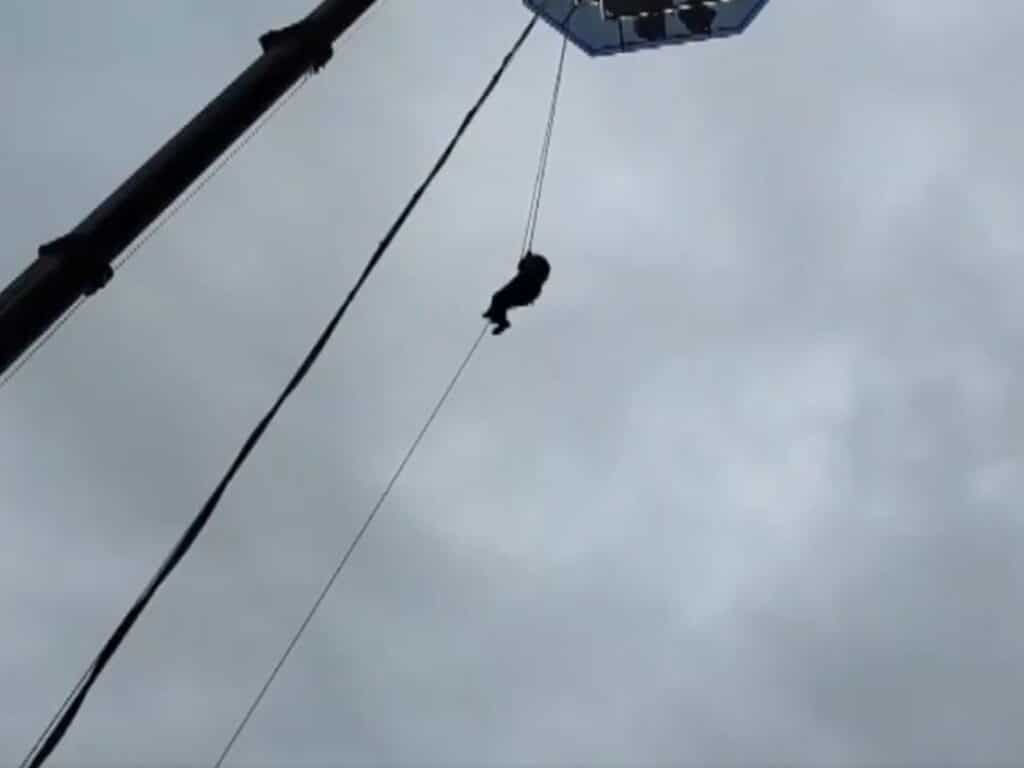 image AZXwnhY4I 2000x1500 1 1