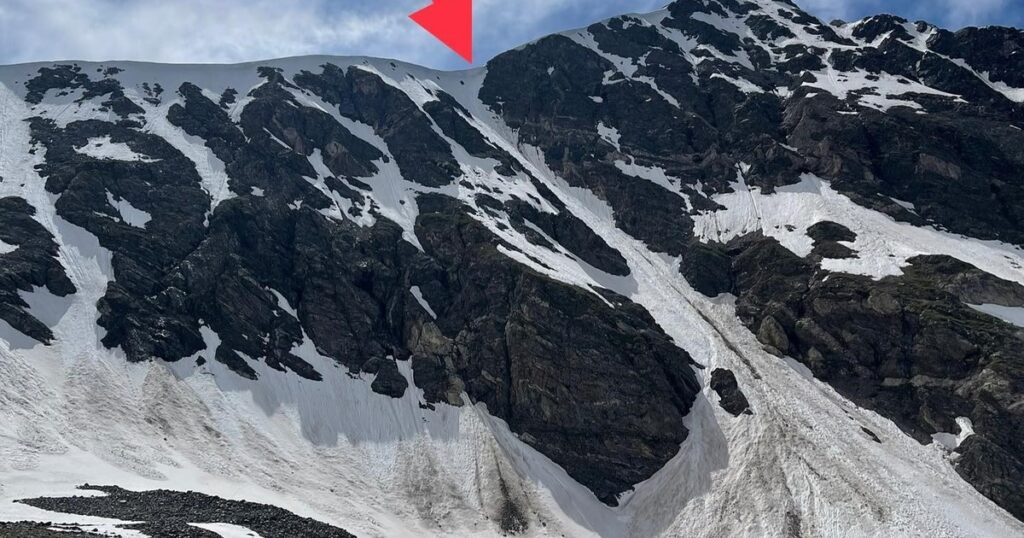 Ven una mancha negra en la montaña y descubren que es una perrita que cayó 600 pies image CSIwo7XnY 1200x630 1