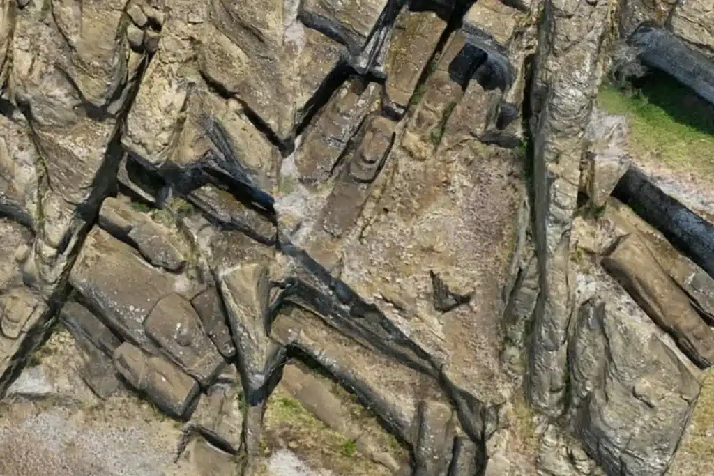 image Diseno sin titulo 13