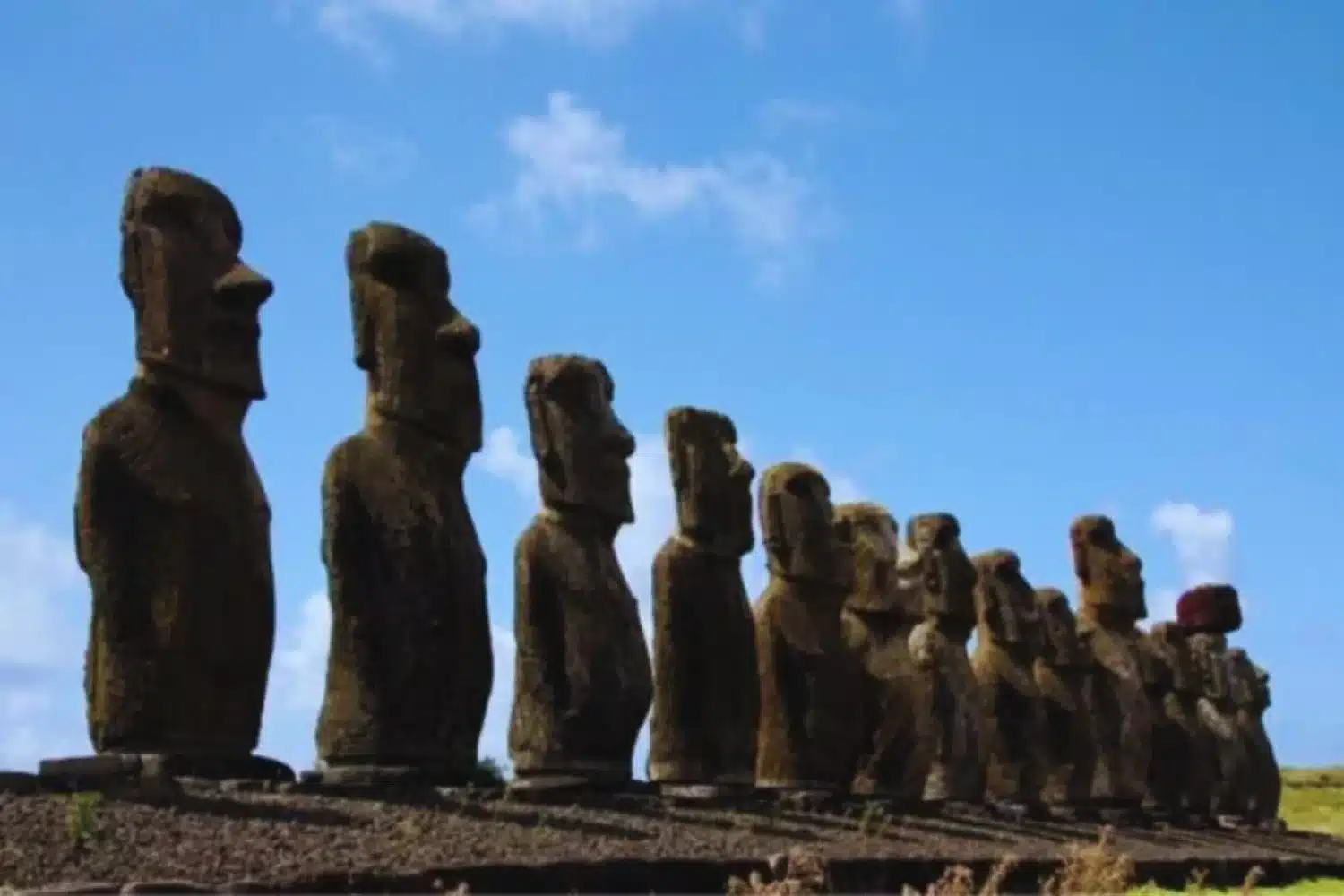 Diseno-sin-titulo-15