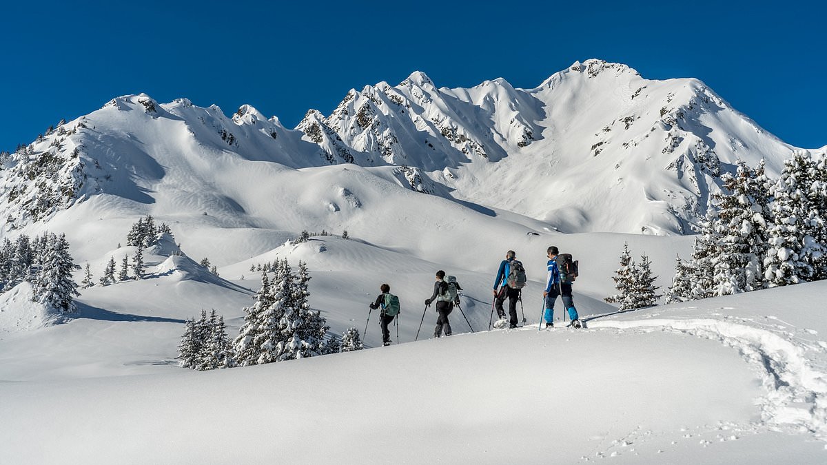 Estacion-de-esqui-en-Francia-ofrece-esqui-gratis-este-invierno-intriper.jpg Estacion-de-esqui-en-Francia-ofrece-esqui-gratis-este-invierno-intriper.jpg