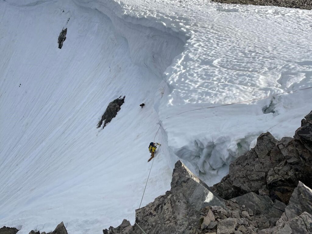 Ven una mancha negra en la montaña y descubren que es una perrita que cayó 600 pies image HoJGtdeNf 2000x1500 1 1