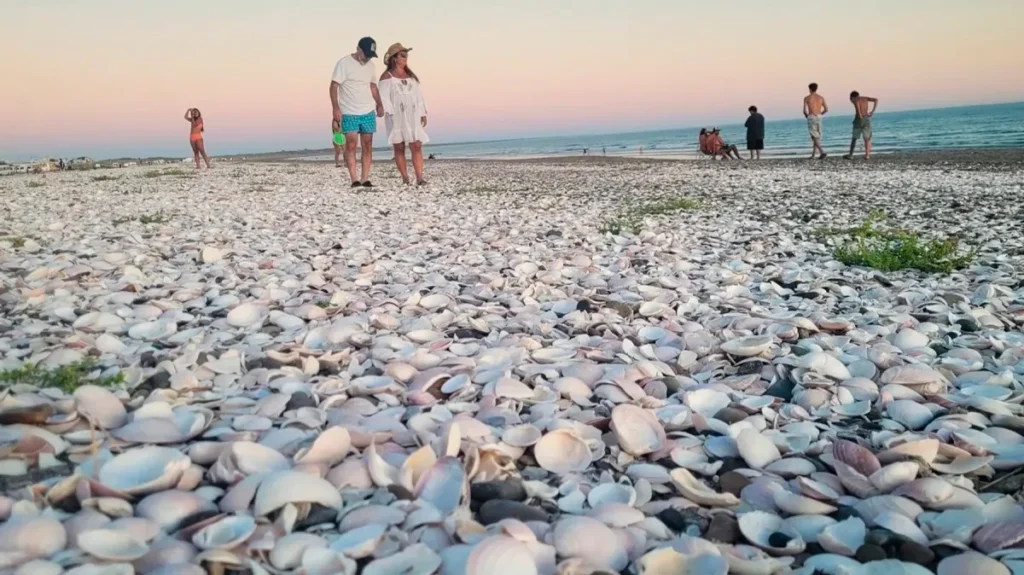 image Punta Perdices 6