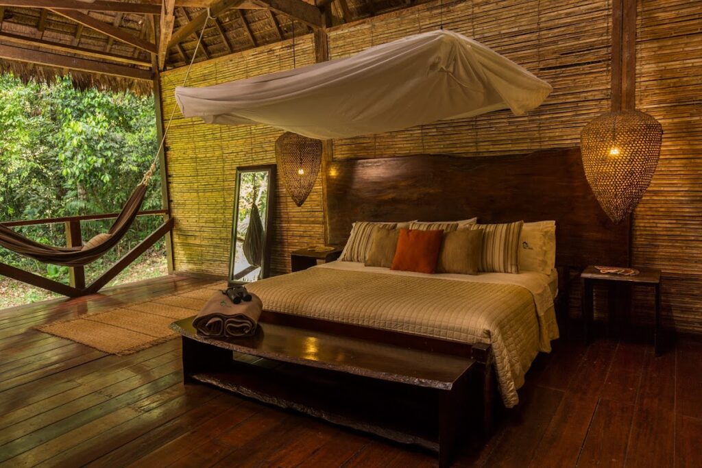 image RAINFOREST 62 1