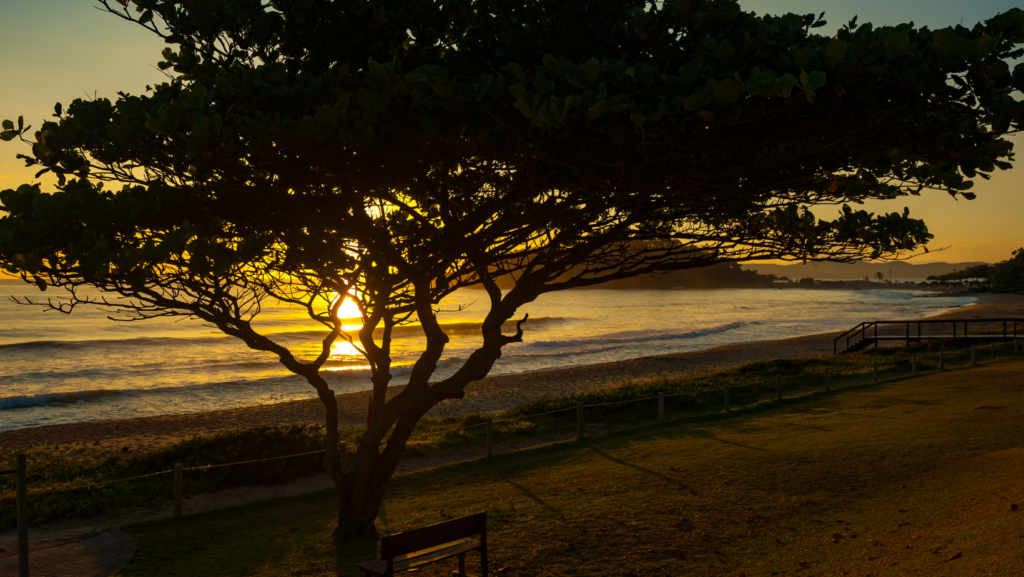 image Santa Catarina Praia da Ilhota Itapema Porto Belo