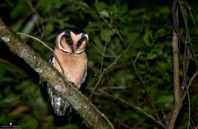 image Screenshot 112 1