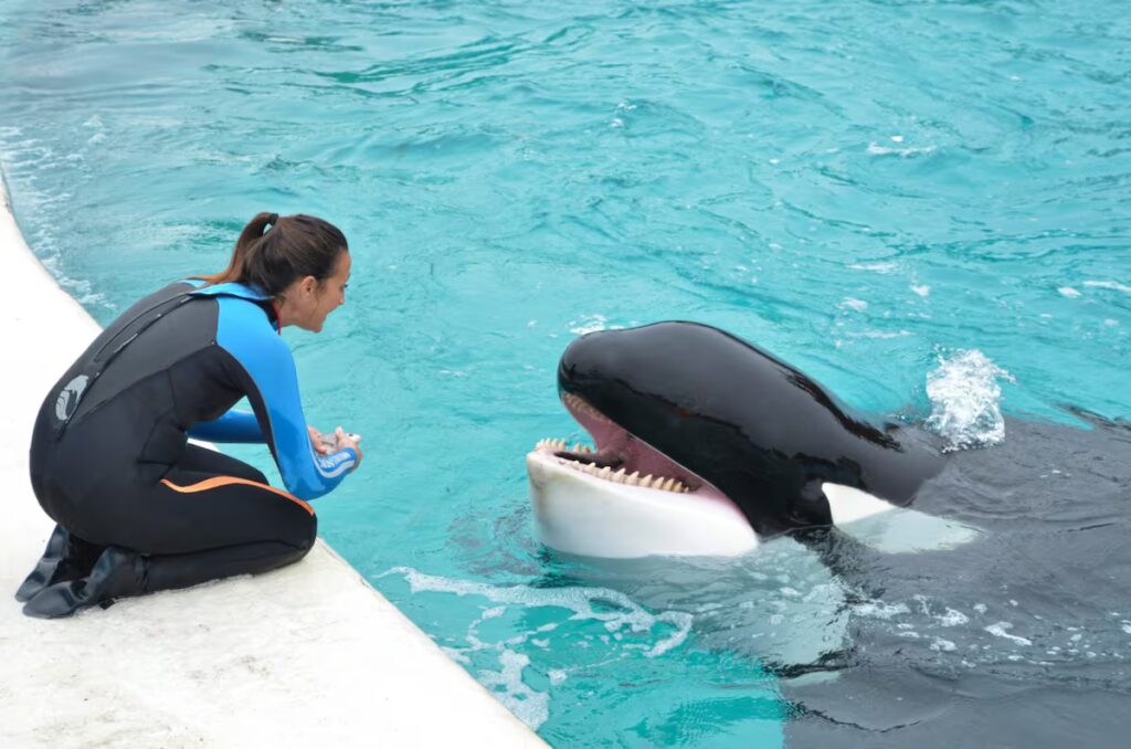 image T4HRGDOL5VAPFKB5ERPPJU7SCM