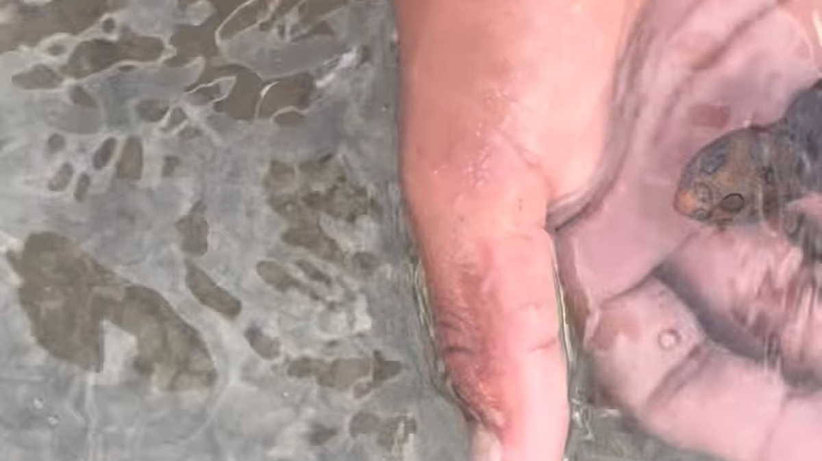 Turista-britanico-sobrevive-tras-tomarse-foto-en-peligrosa-playa-intriper.png Turista-britanico-sobrevive-tras-tomarse-foto-en-peligrosa-playa-intriper.png