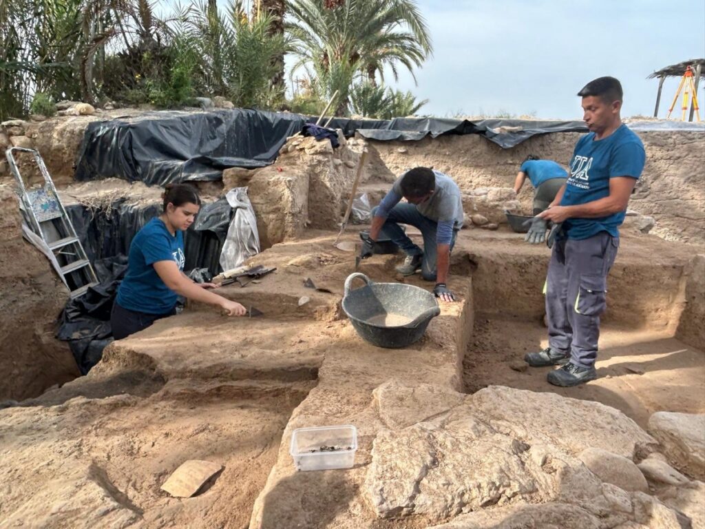 image articulos 1740083