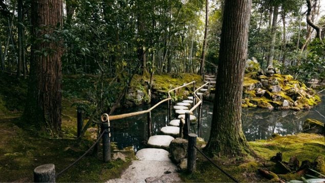 China lo hizo posible: convirtió un desierto en el bosque artificial más grande del planeta image bosque 635x358 1