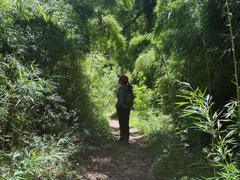 image caminata por el alerzal 33U5WU7JAVG5TMN733BQZAQGRU