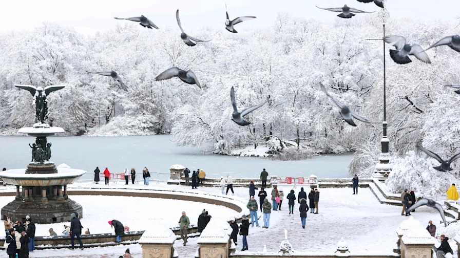 d33bba6ade78e354f49138f798a3983c