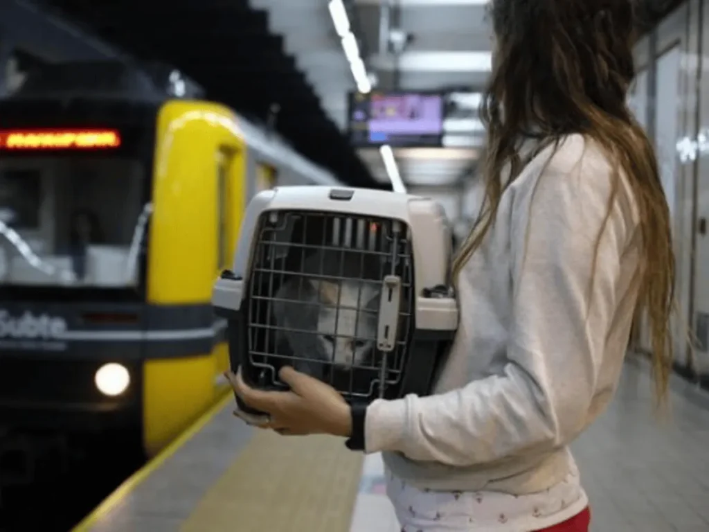 image el gobierno autoriz el viaje con mascotas en trenes y micros de larga distancia 1 1 .png 227174589