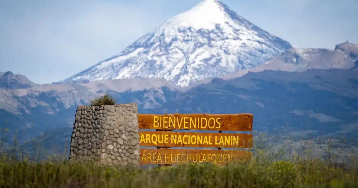 foto-1-Bio-Parque-Nacional-Lanin-Credito-APN