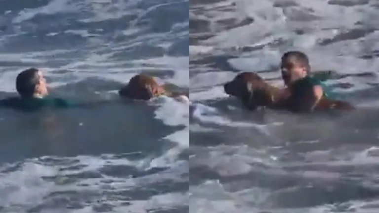 golden_heroe.jpg_663533504