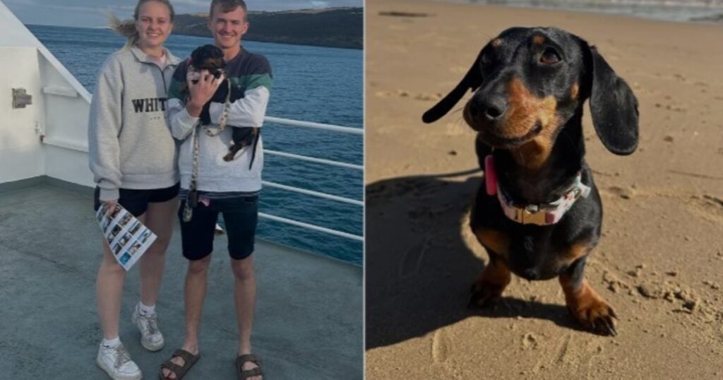 image hEoqHFSZ7 1200x630 1 1