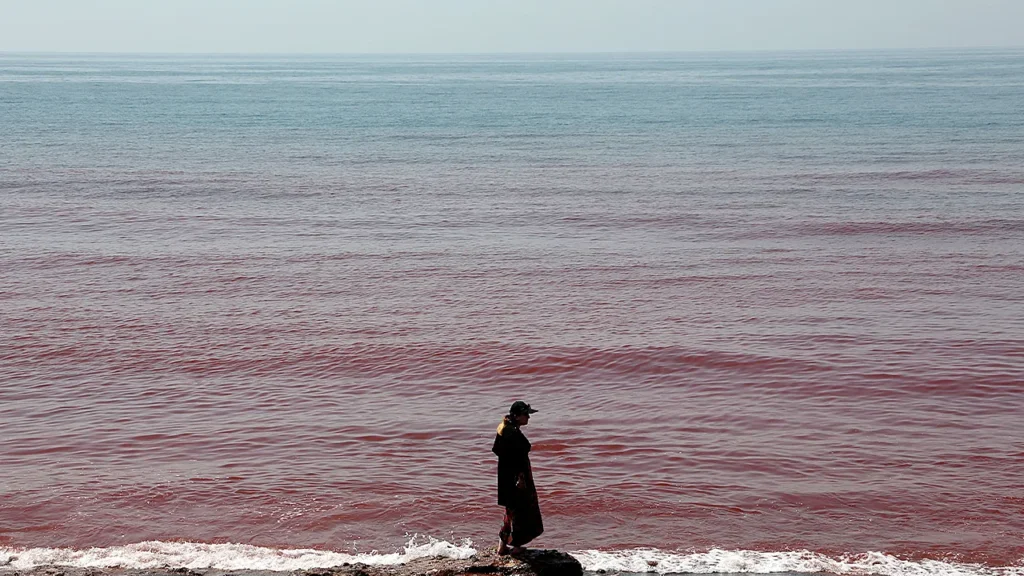 Una playa se volvió roja como la sangre tras una tormenta y dejó a todos en shock image hormuz red rain iran 1