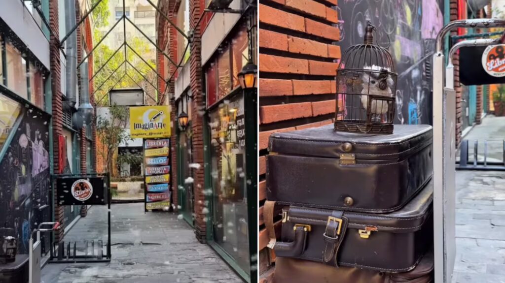 Fiebre navideña por Harry Potter: un pasaje de Caballito se convertirá en una recreación del Callejón Diagon image la galeria de caballito sera intervenida con musica tematica nieve y decoracion navidena inspirada en harry potter capturas instagramcomlibriastore NDK2LJWGAZDQVIQHKXYVP6MAGY 1