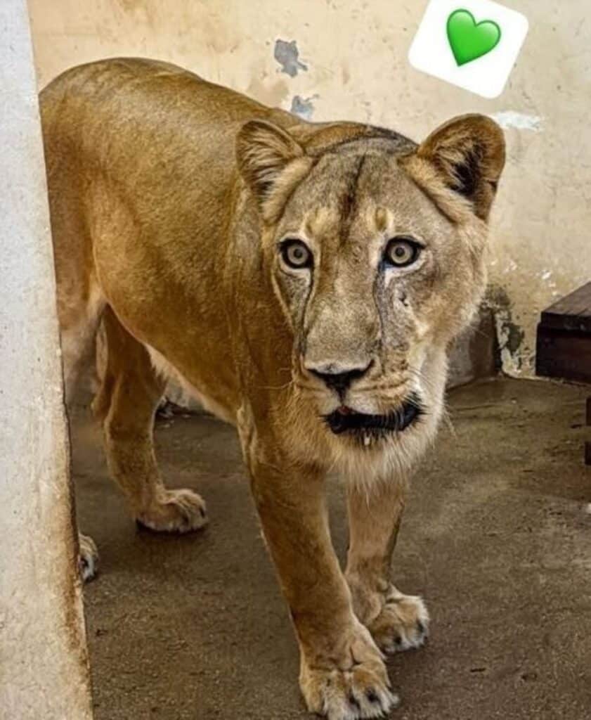 image o0EkEQ2BO 2000x1500 2