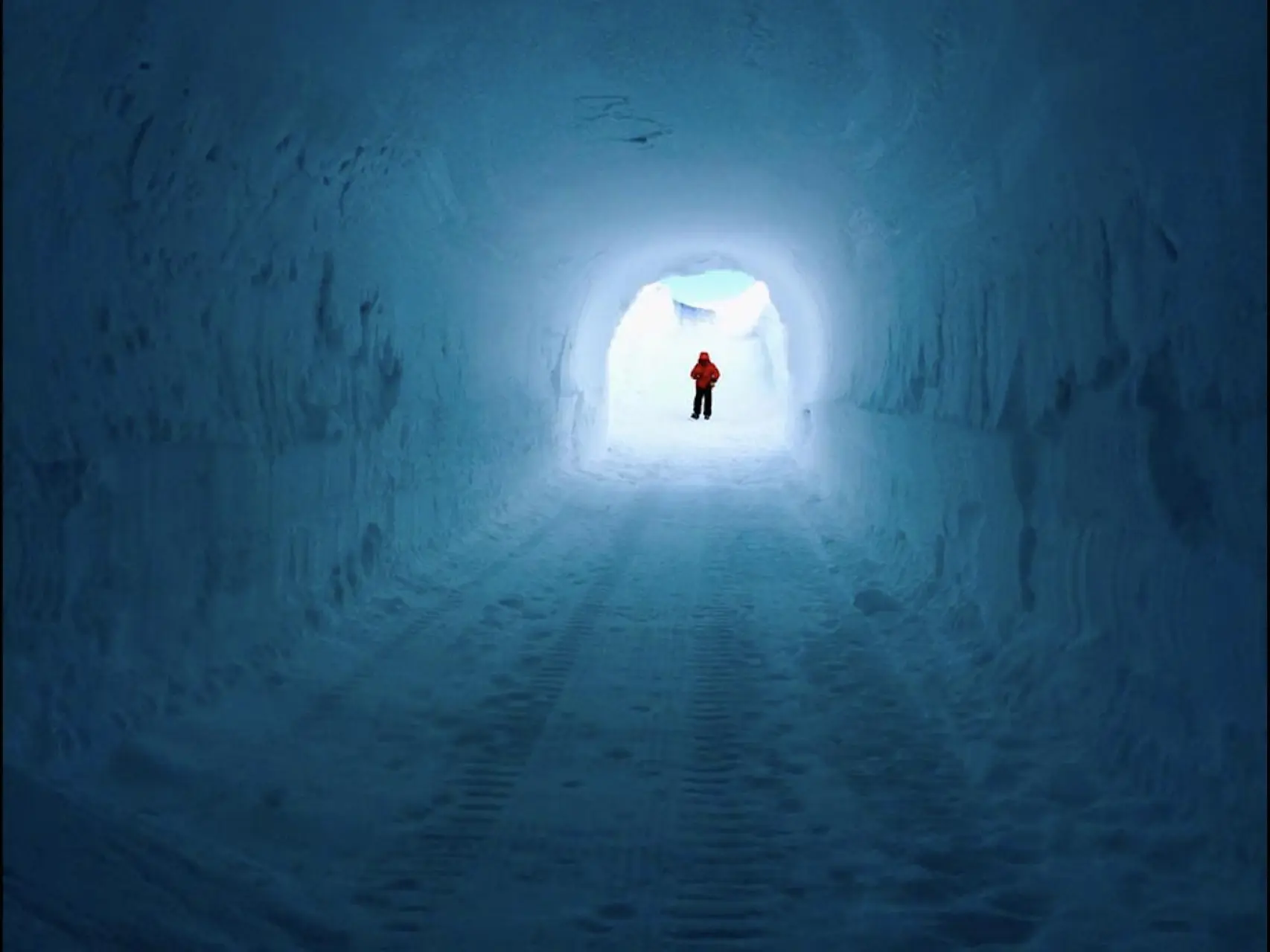 1003744091640_260938543_1706x1280