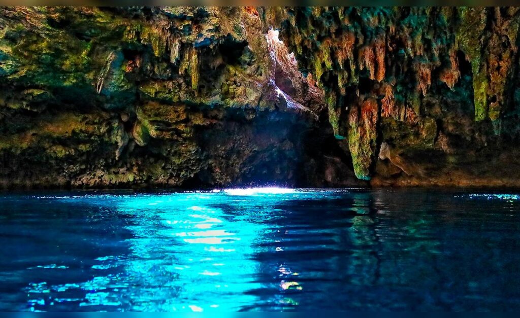 image 69739c33cc9aef534807174d 1