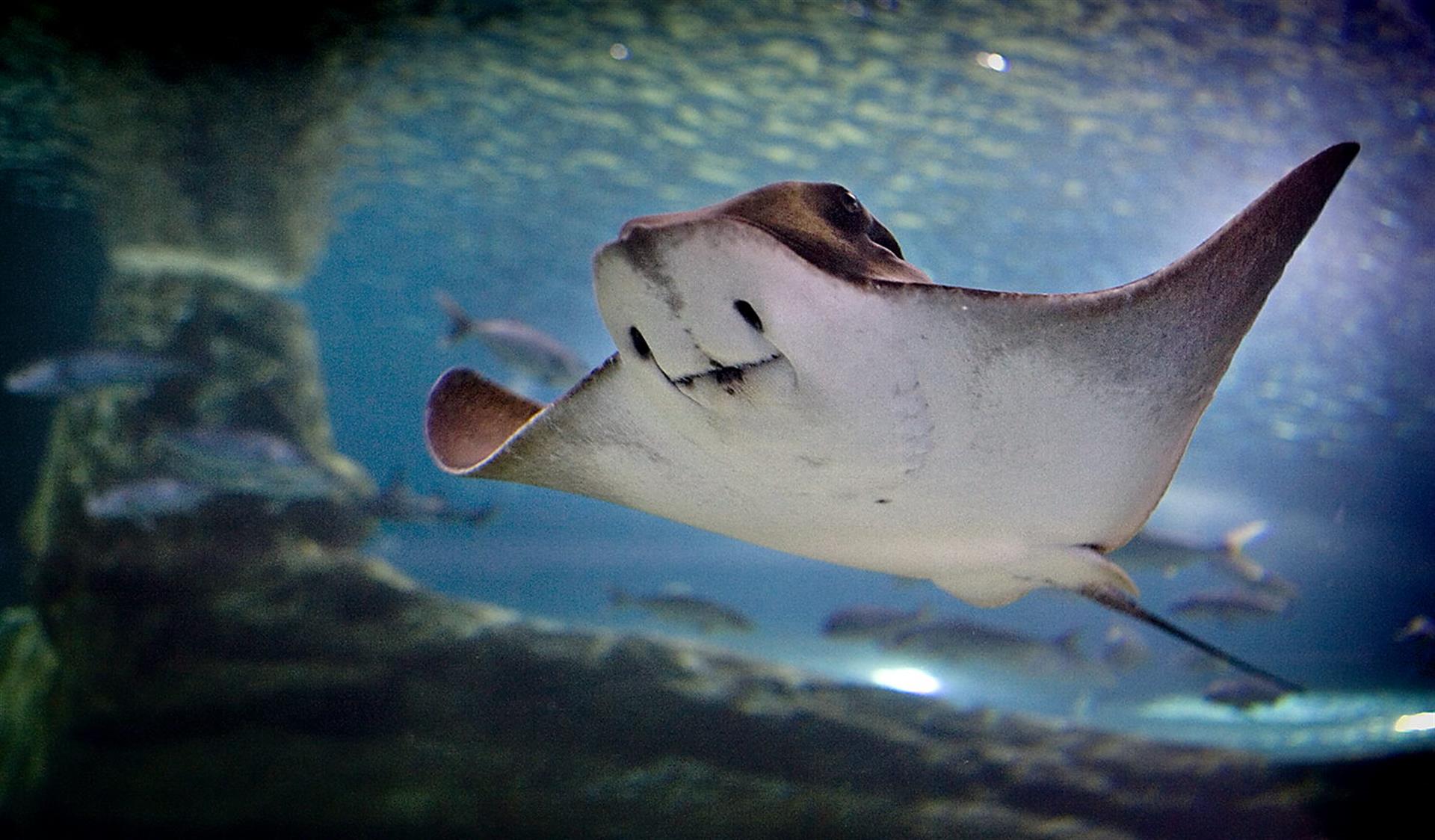 6b680c358a9c486cf04aa1acf563269a7d2c97ccw 6b680c358a9c486cf04aa1acf563269a7d2c97ccw