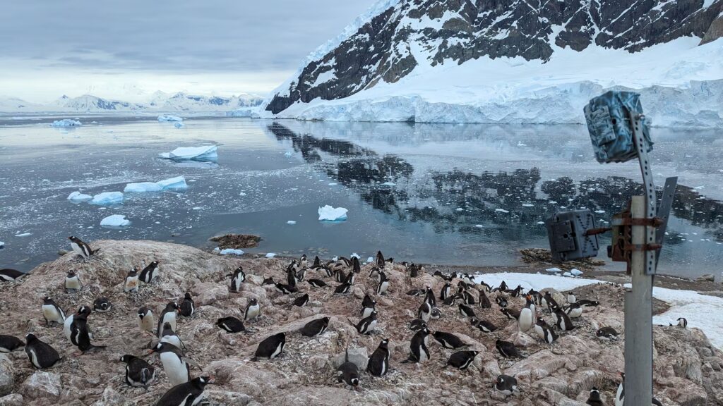 image A5BLNOIRAJHADK6R2JJSX3HMG4