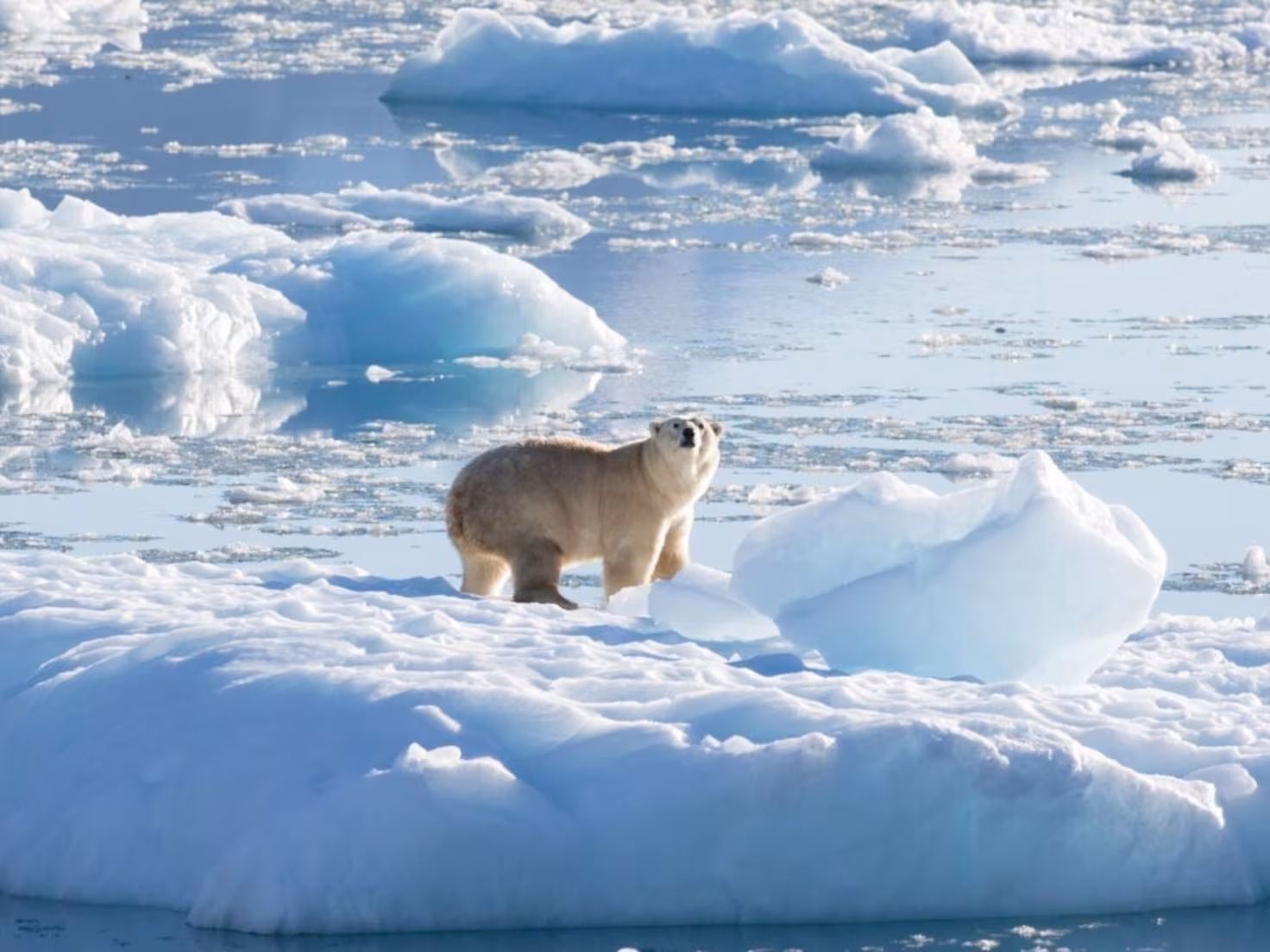 CJX6QSEMTBARPOOWTXJPKAK4YE