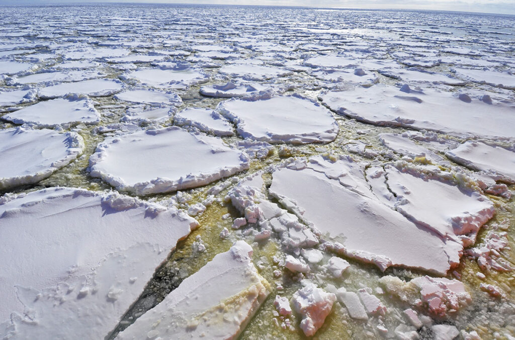 image CMV46ITTMVCA5EYOIRZBGAT6VI