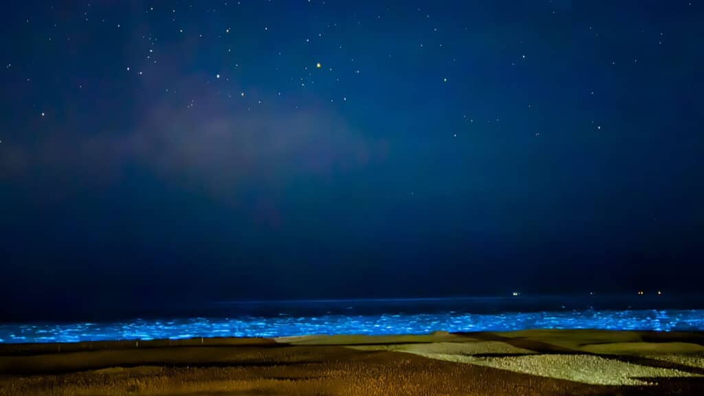 image I2TZWTTYRZEHFLLEDNJHQVIJEQ 1