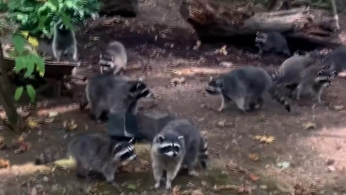 J377GLVXTZCOBIZXAQA2PK6U64