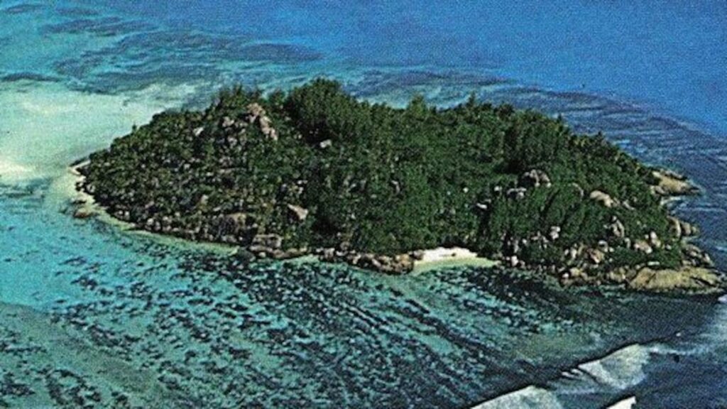 Compró una isla desierta por unos miles de dólares, plantó 16.000 árboles y la convirtió en un santuario image KAHXUN7SFZCV7GRFCD3SYYTCZQ