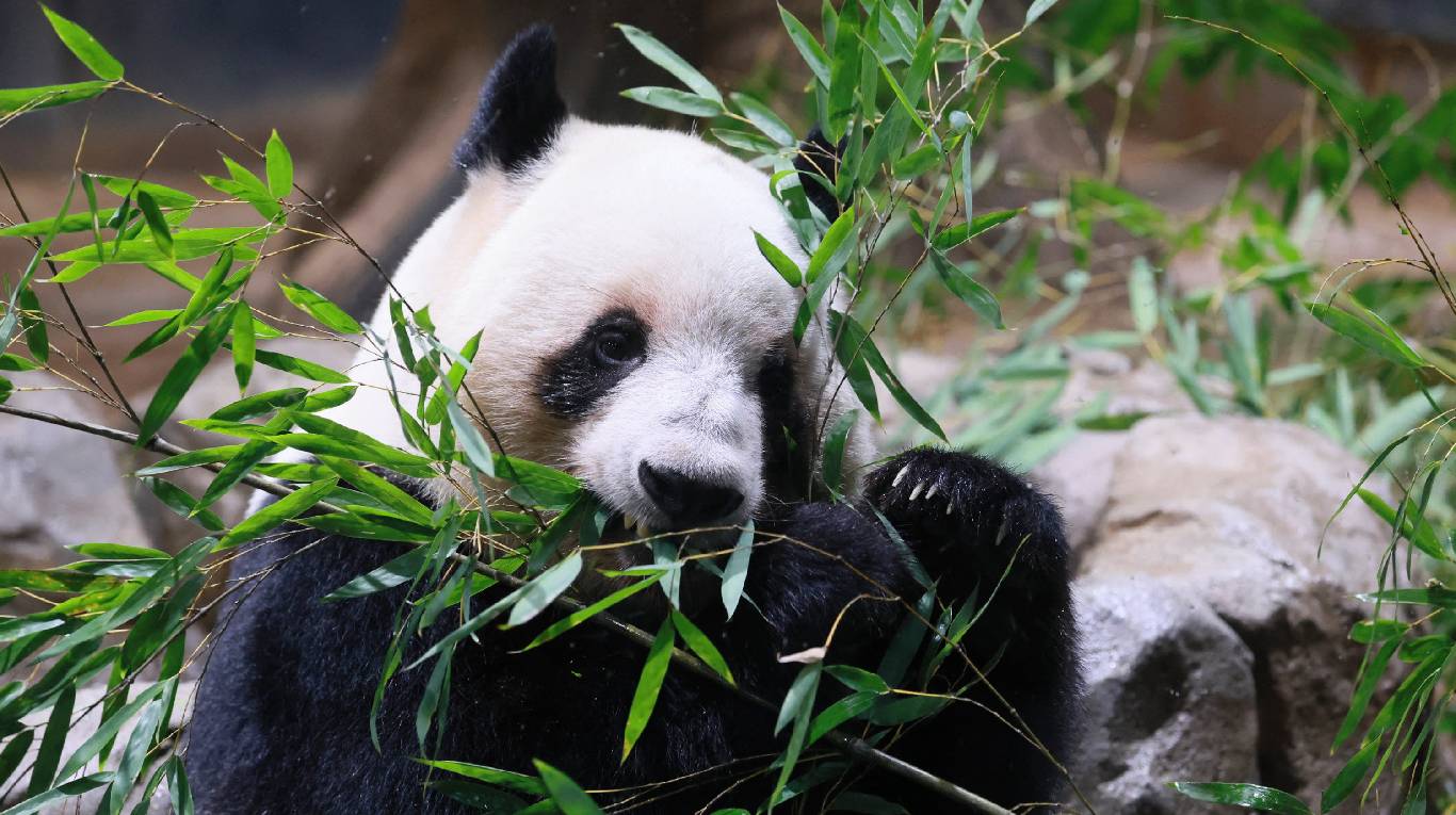 KWRXRWNKNBBBVAZXYQJJYXQQS4