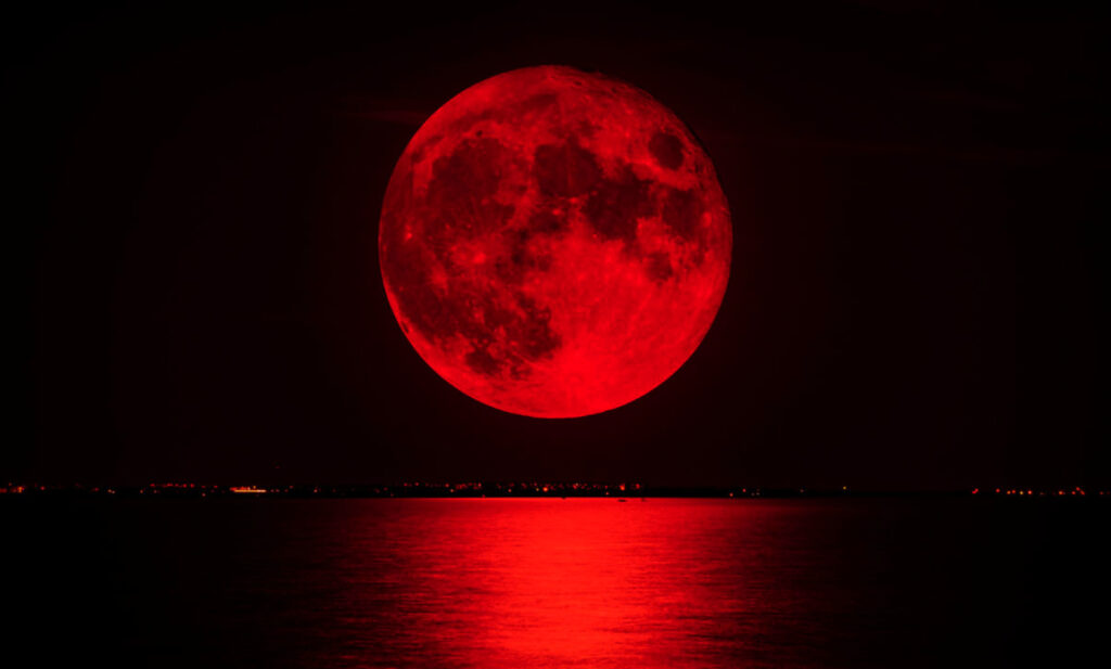 image MQBLUQWZ35EJREDBO2KDPIJM3M 1