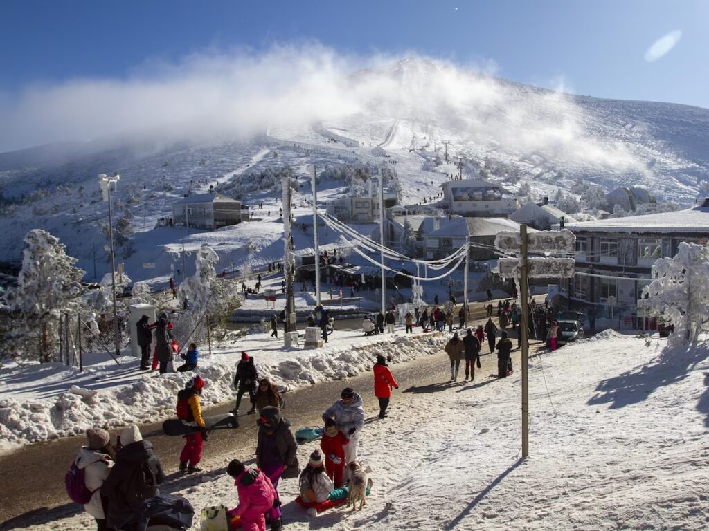 Convierte el jardín de su casa en una estación de esquí privada con telesilla y pista propia de 40 metros image PX2IVHNQHVG4HAFYOMQBNUNDLM