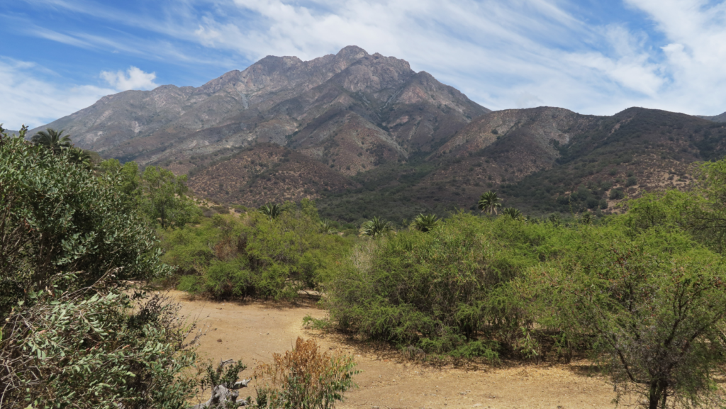 image Parque Nacional La Campana y Olmue