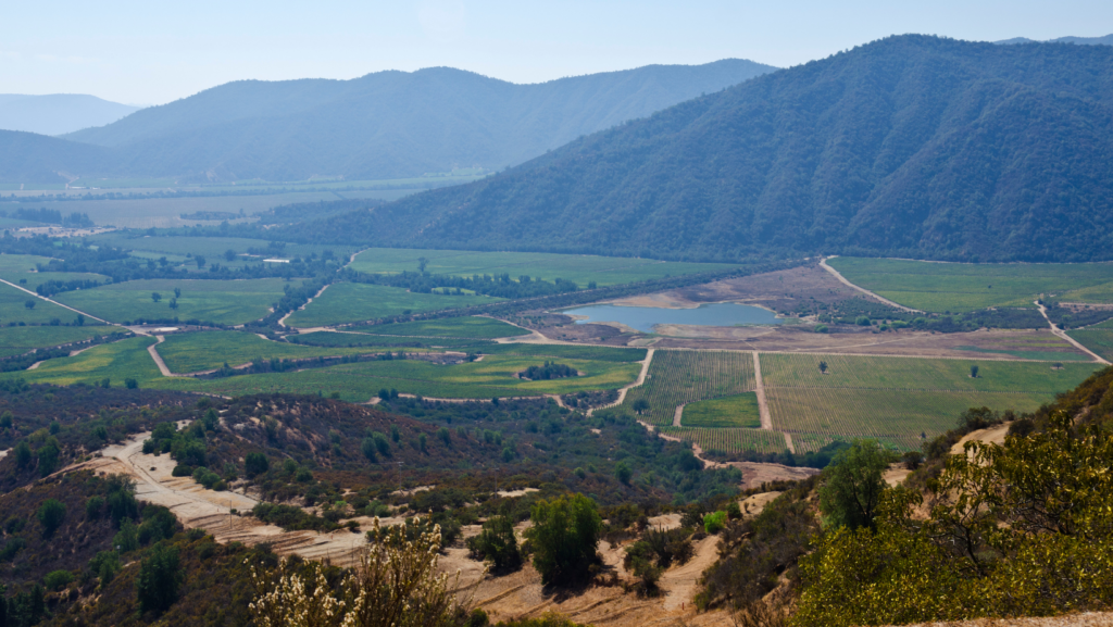 image Valle de Casablanca