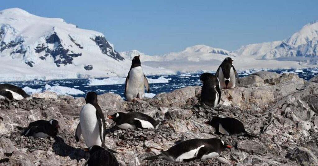 image c91faac7 d462 4c10 bcdc 74d0cc7ae324 twitter aspect ratio default 0