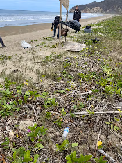 Horror en una playa turística de Ecuador: colgaron cinco cabezas humanas frente al mar y dejaron un mensaje intimidante image encontraron a orillas del mar en puerto lopez CAEYACST2VHB3OHPFGWIM6XIOE