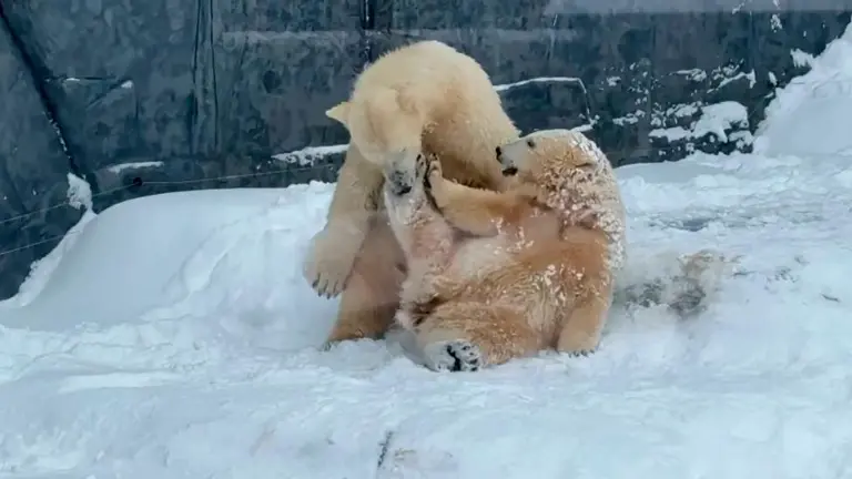 ererwerwer_18240633_20260109204957