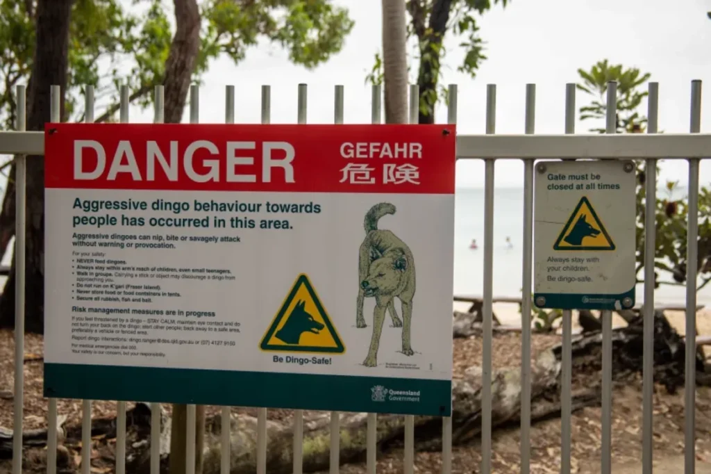 image gettyimages 1482441528 20260124134206678